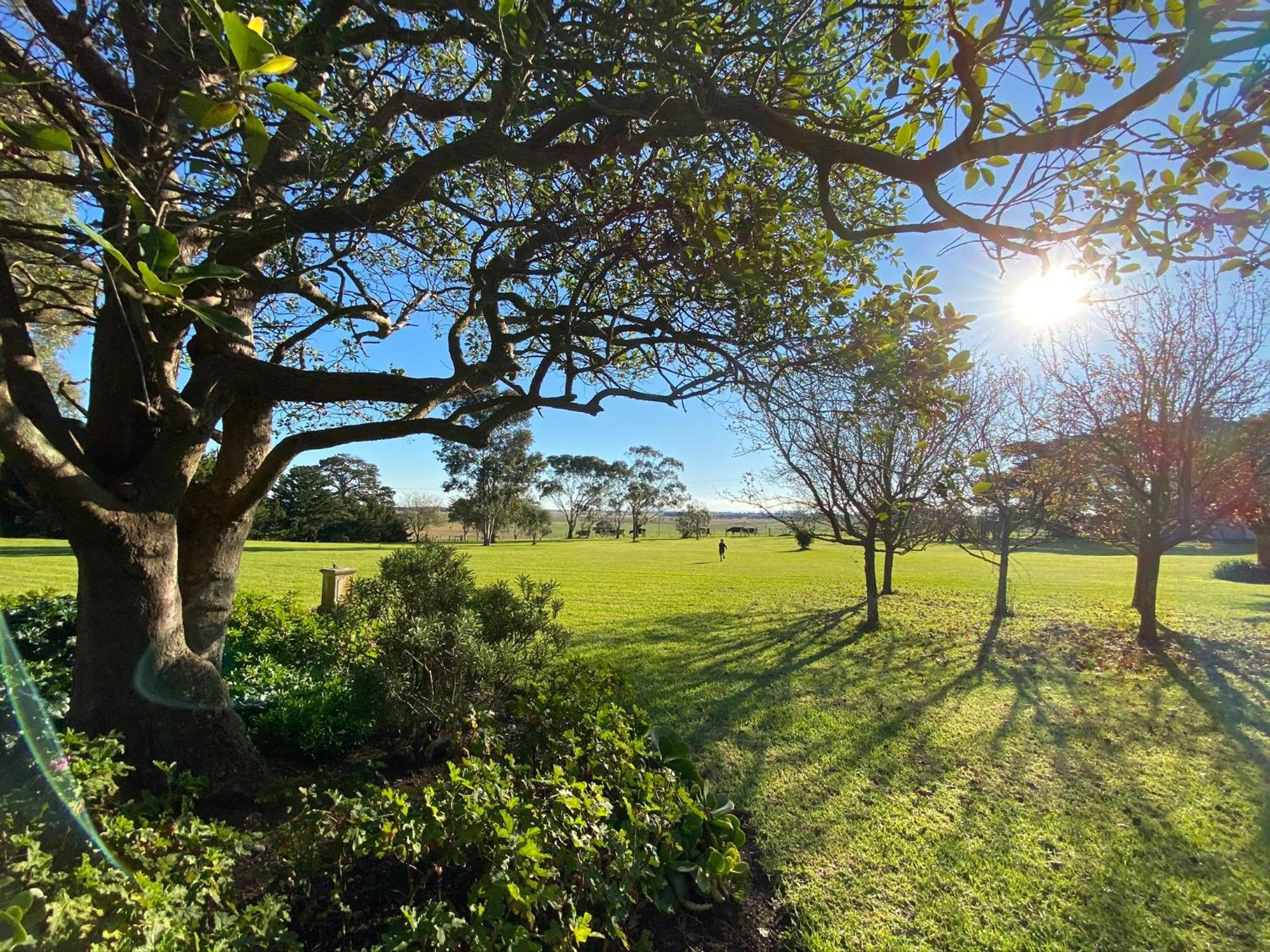 Kilmany Park Estate Bed & Breakfast Wurruk Dış mekan fotoğraf